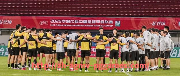 pg电子在线下载-德甲球队领导者身份及其影响力分析