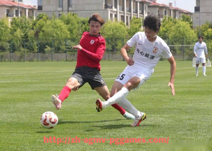 pg电子在线下载-西甲联赛球队图标全览:各队标志与象征意义