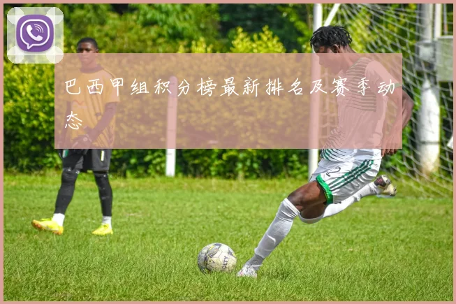 巴西甲组积分榜最新排名及赛季动态